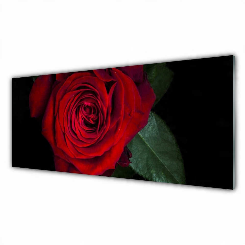 

Fotoobraz akryl na prezent 125x50 Róża Na Ścianę