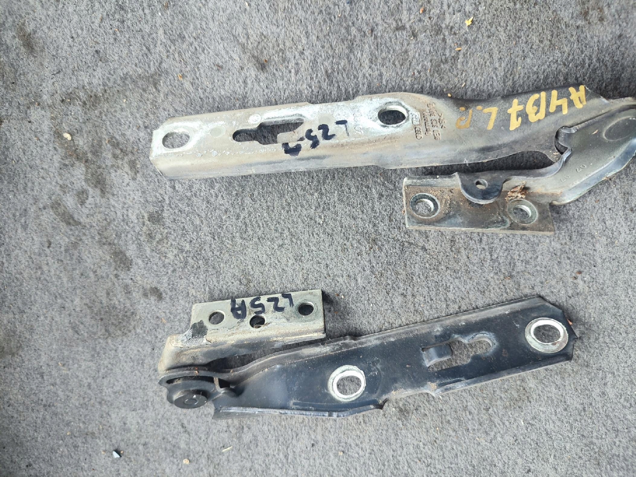 Cerniere cofano AUDI A4 B7 LZ5A KOMPLET
