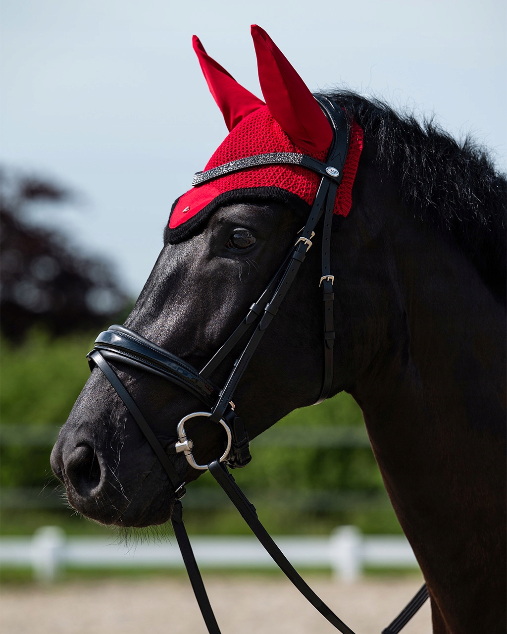 Qhp Ogłowie Lagos Black Cob