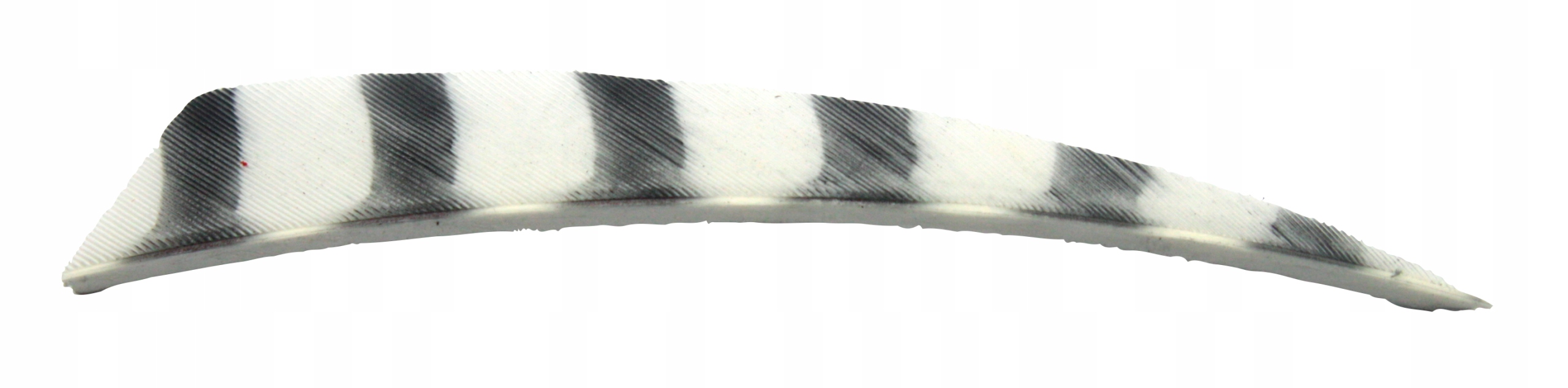 Lotki indycze Shield 4" Barred