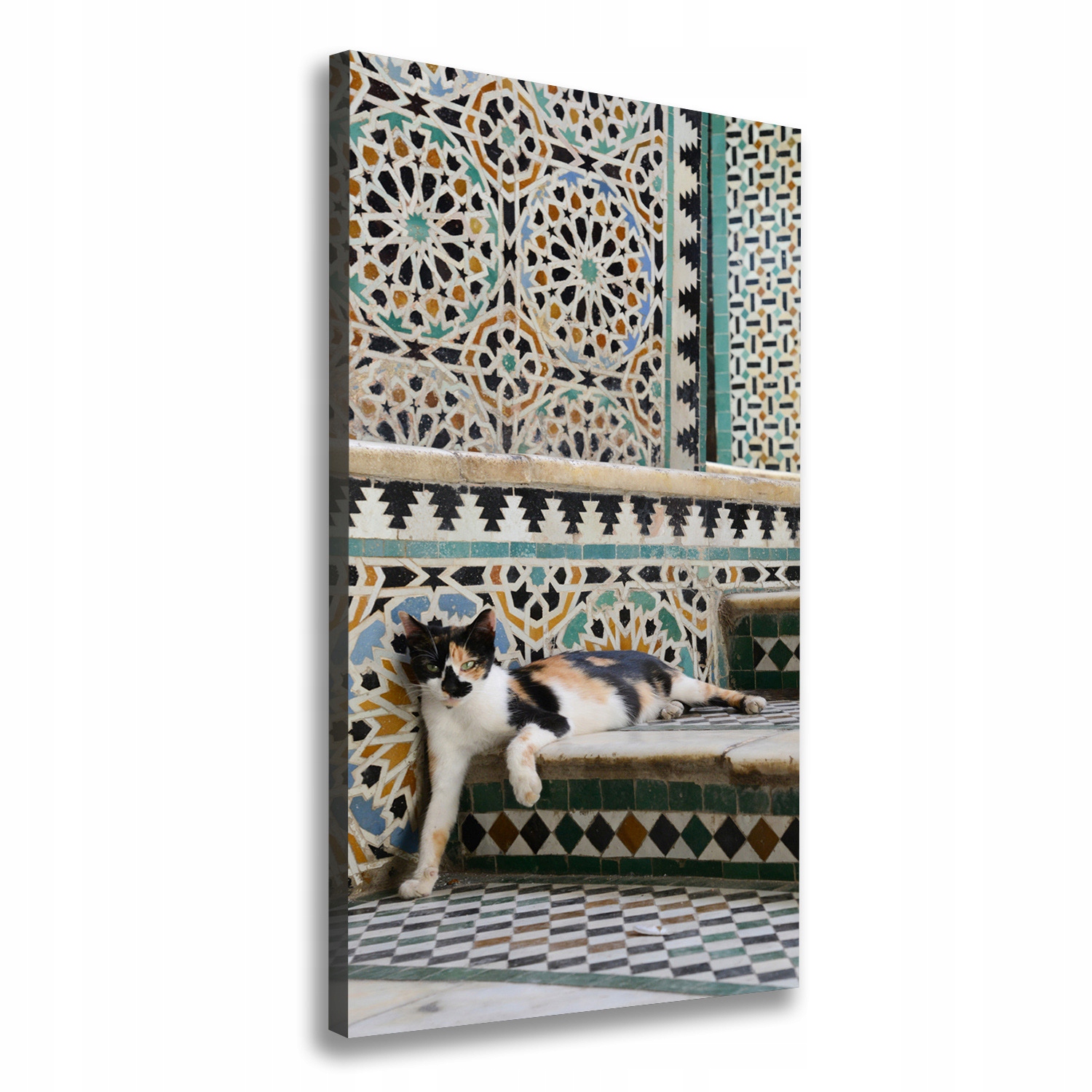 

Foto obraz canvas do salonu Kot w Maroko 70x140