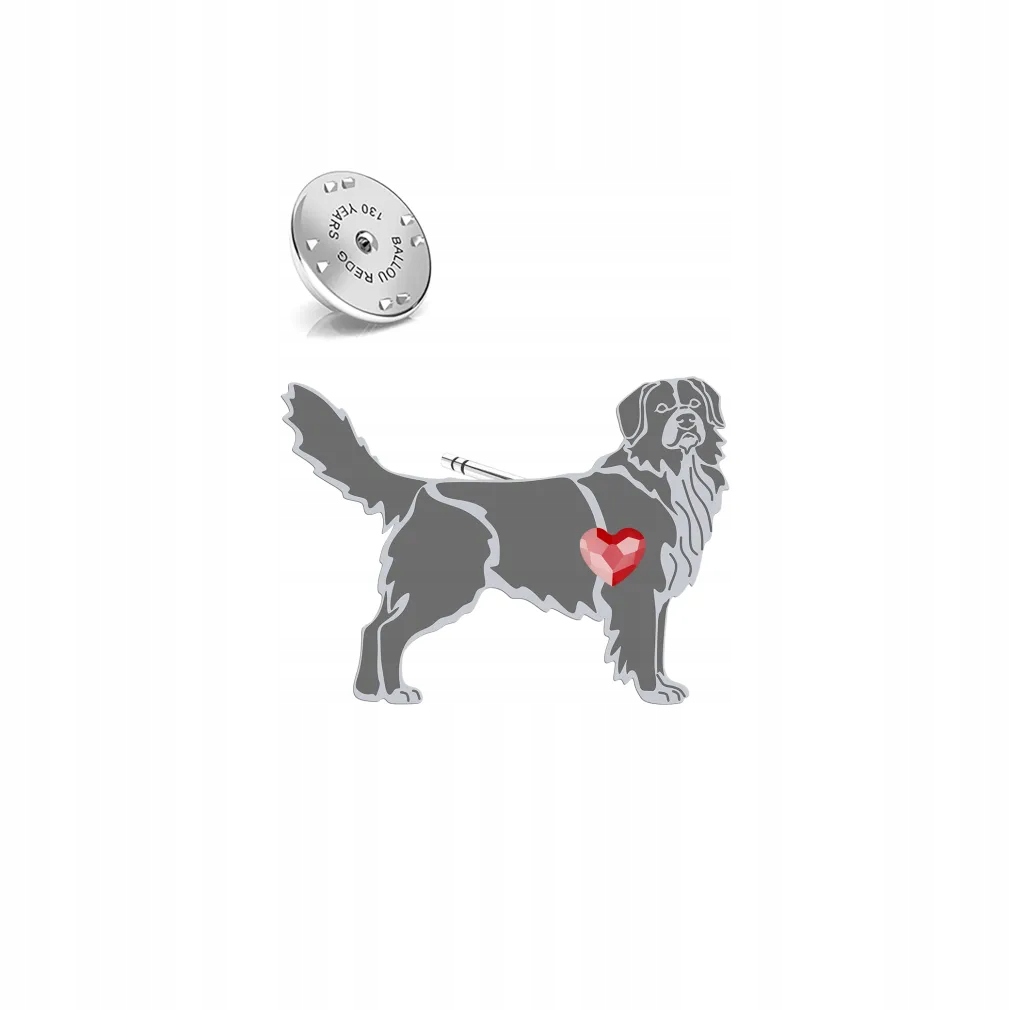 Odznak z Nova Scotia Duck Tolling Retriever 925 Dárek Gravírování