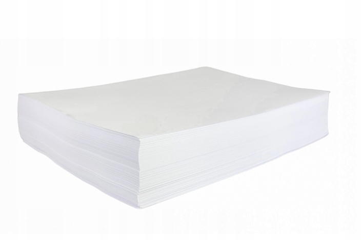 Ryza Papieru A4 Papier biurowy Canon format A4 80g 500 arkuszy EAN (GTIN) 8713878125738