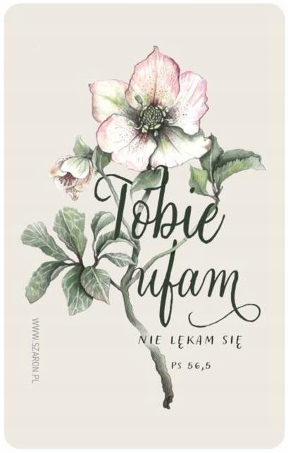 Magnes Na Lodówkę Tobie Ufam, Szaron