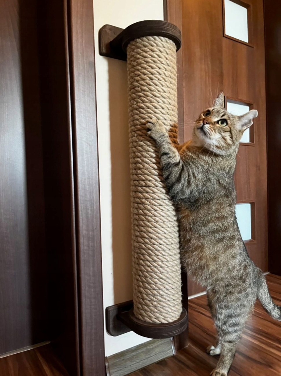 Levně Vertikální nástěnný škrabák pro kočky M-80 cm, velký, stabilní šrouby Tmavě hnědá barva