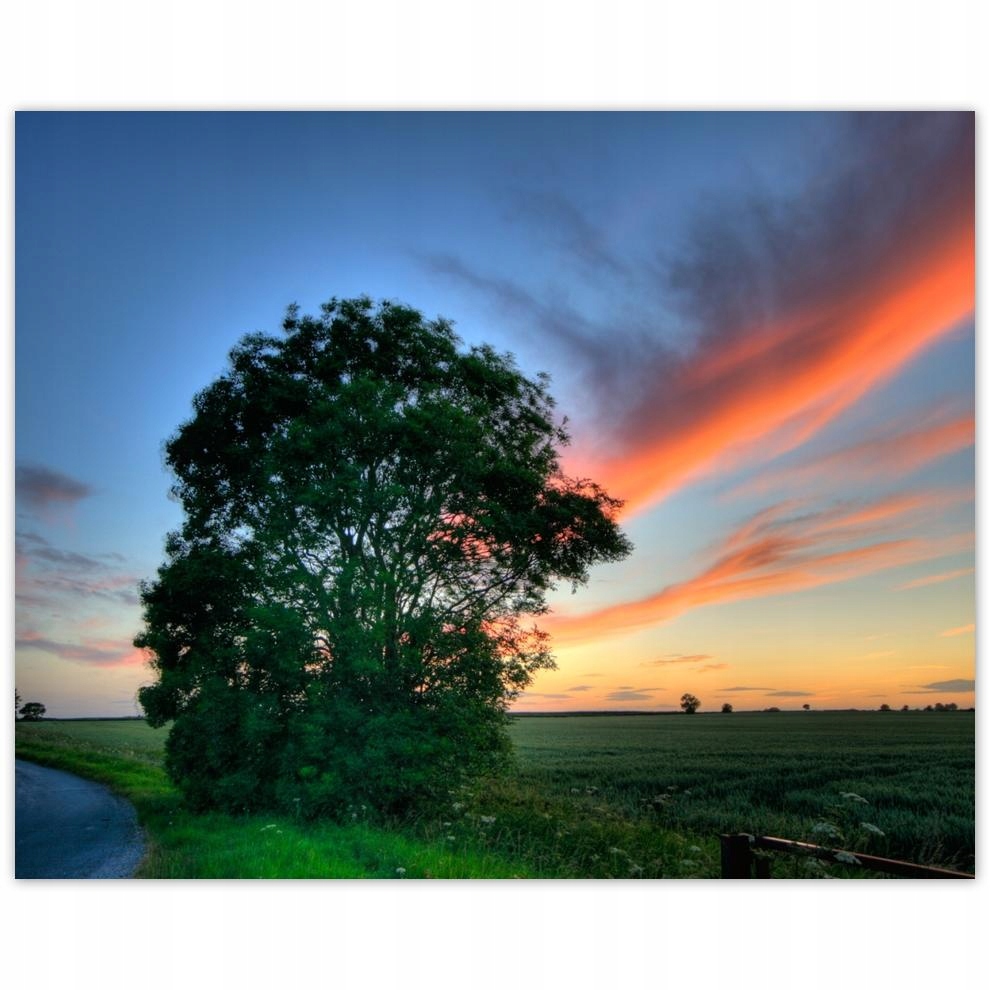 

Plakat 50x40 Płonące niebo
