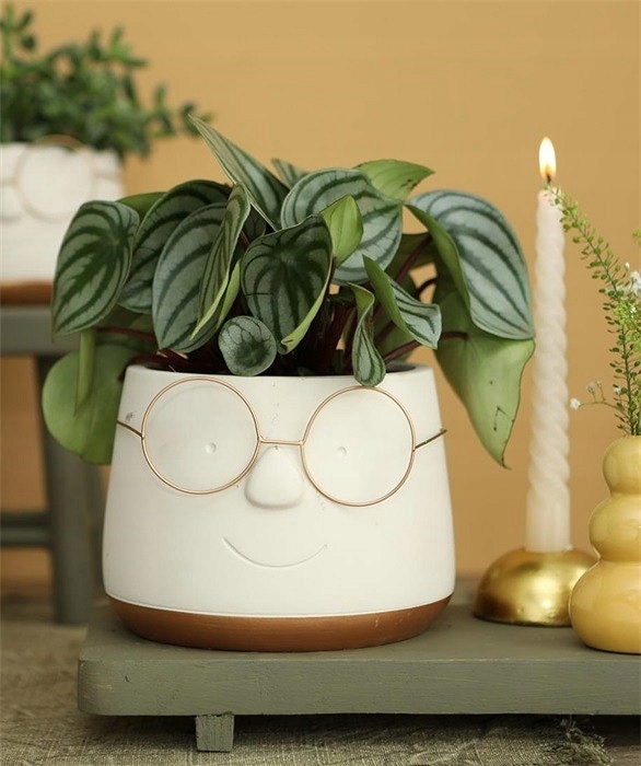 DONICZKA OSŁONKA GŁOWA 16 cm METALOWE OKULARY Marka Ideas 4 Seasons