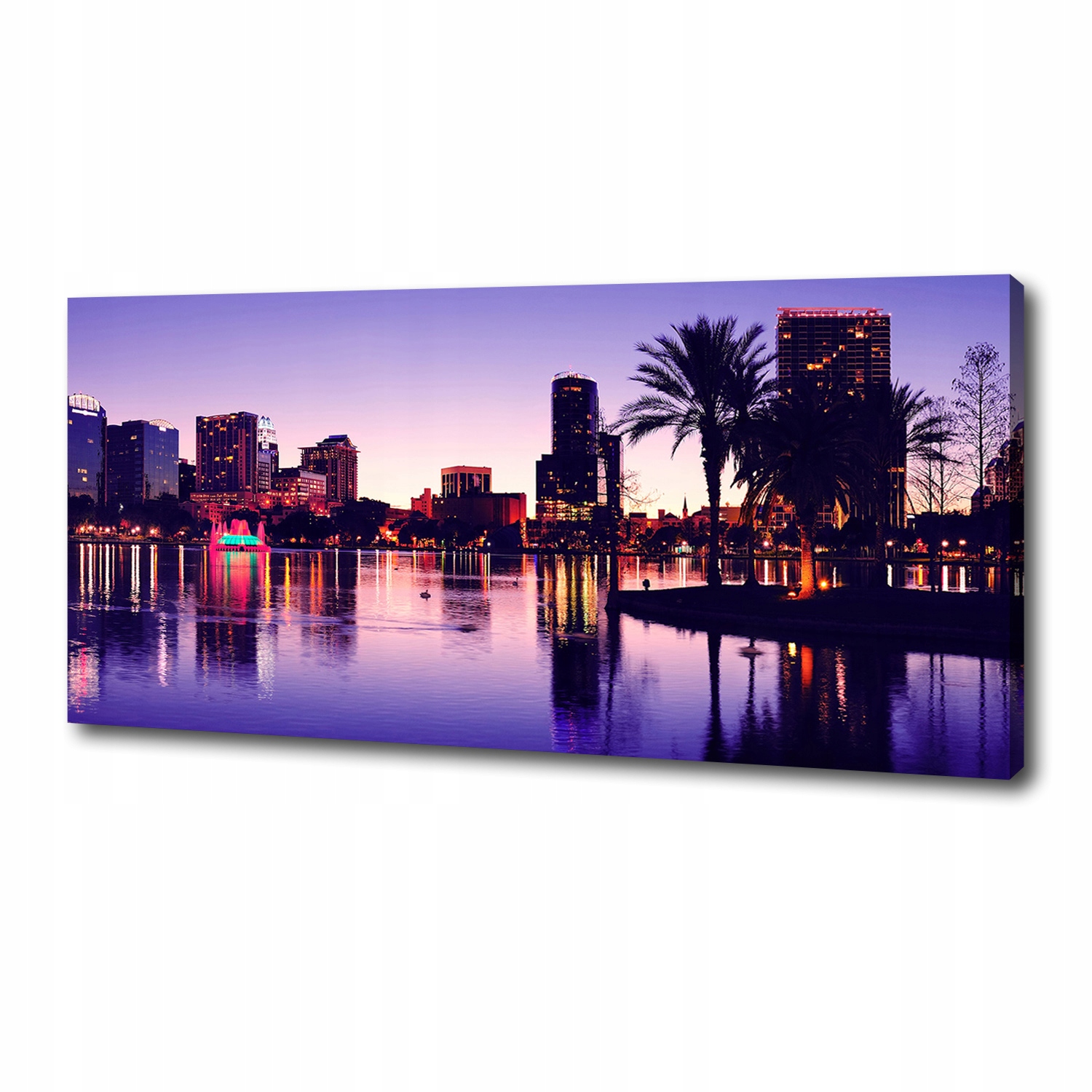 

Foto obraz canvas na ścianę Orlando Usa 125x50 cm