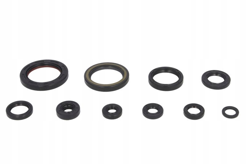 Sada tesnení motora Winderosa W822178