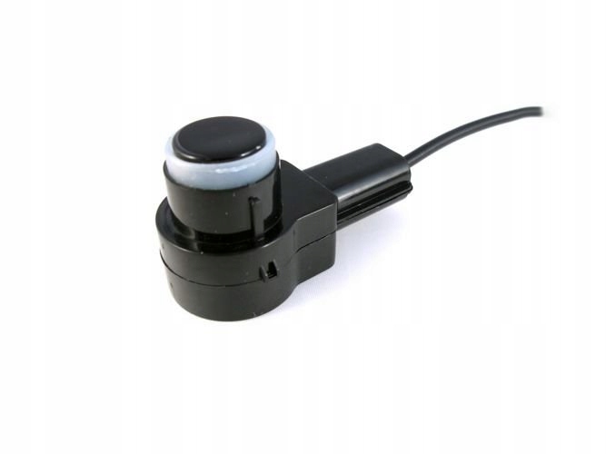 A445e5924006a70321c78e32ca94