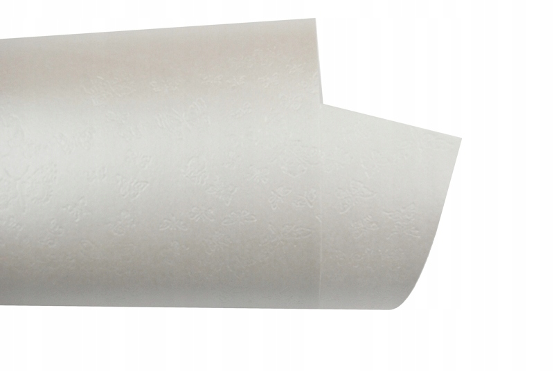 

Papier firmowy perłowy A4 20 ark 110g Motylki 6