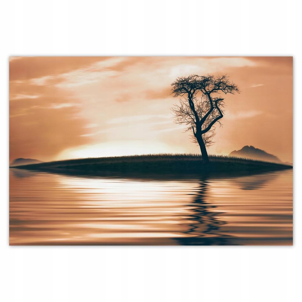 

Plakat 93x62 Drzewo na wyspie