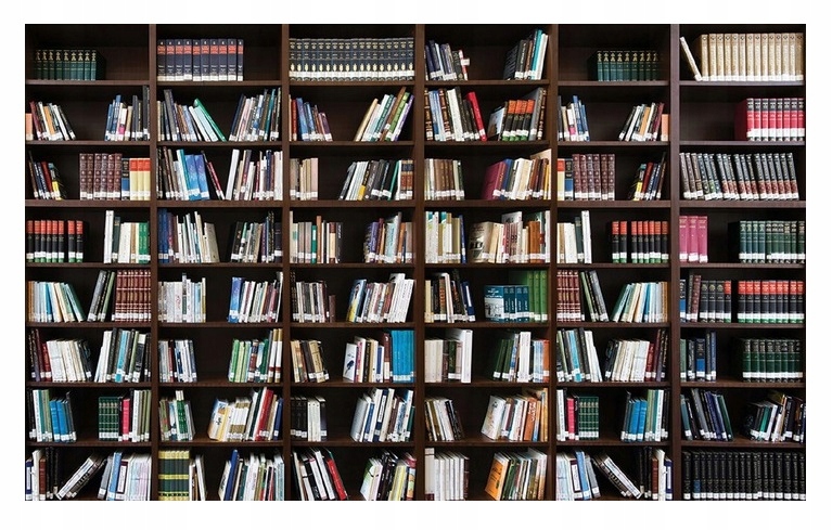 Fototapeta knihy knihovna regál Fliz 312x219