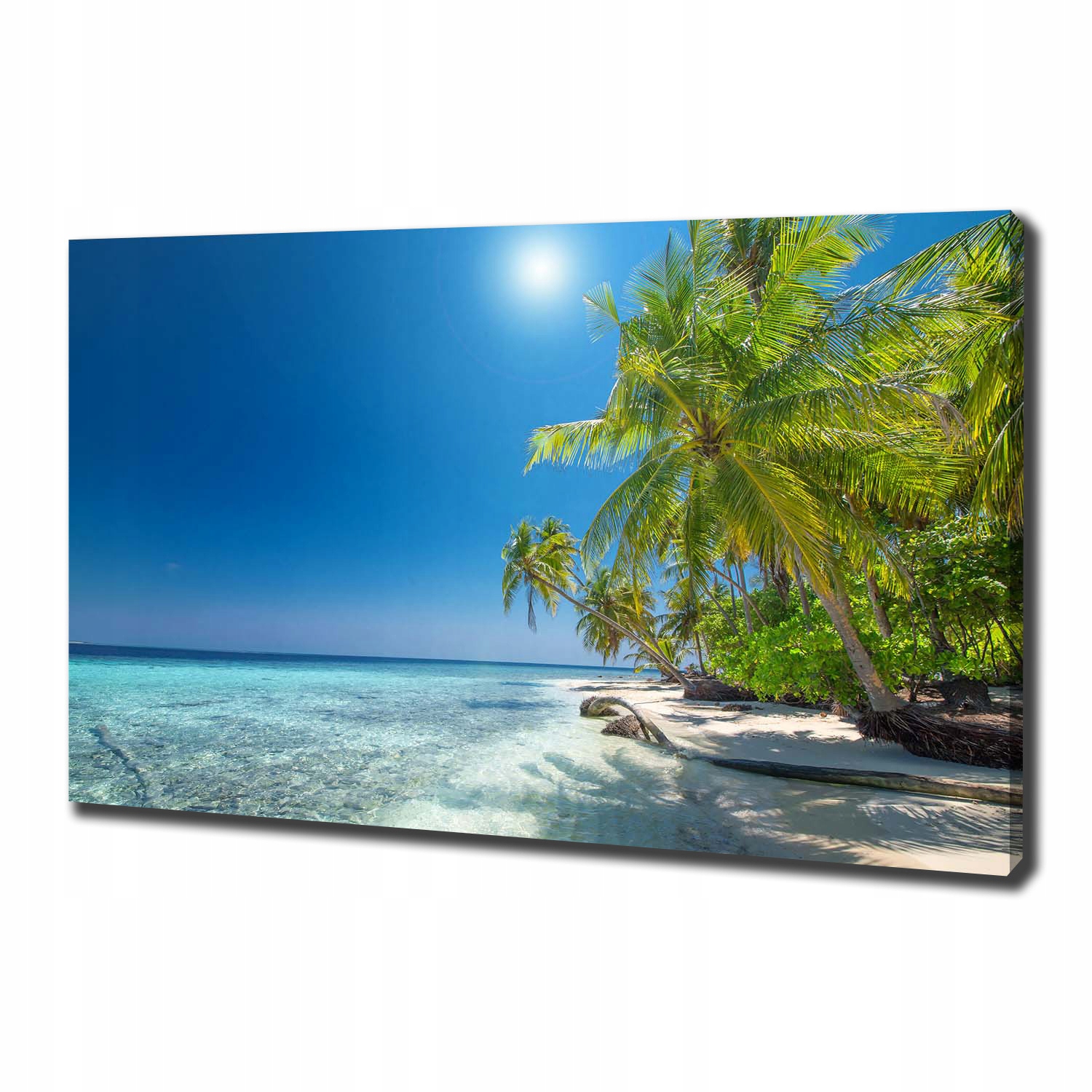 

Foto obraz na płótnie Malediwy plaża 100x70 cm