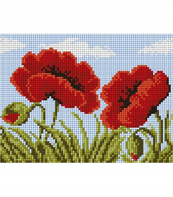 Kanwa Haft Krzyżykowy 15x20 Maki 2004