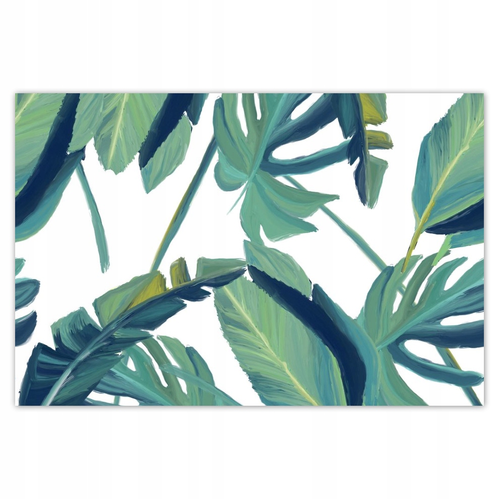 

Plakaty 93x62 Monstera Liście liść