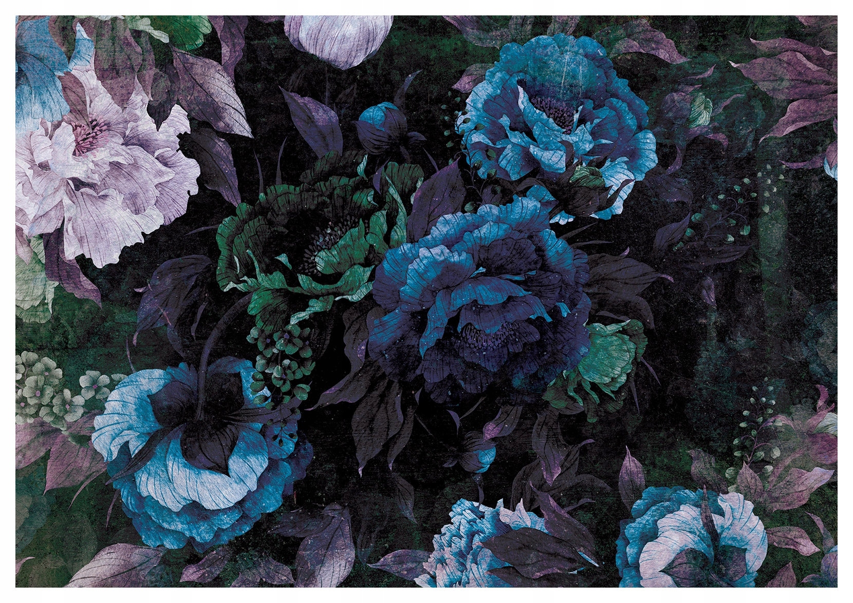 Fototapeta Tmavé Pivoňky na sametovém pozadí Elegance 350x250 lepidlo