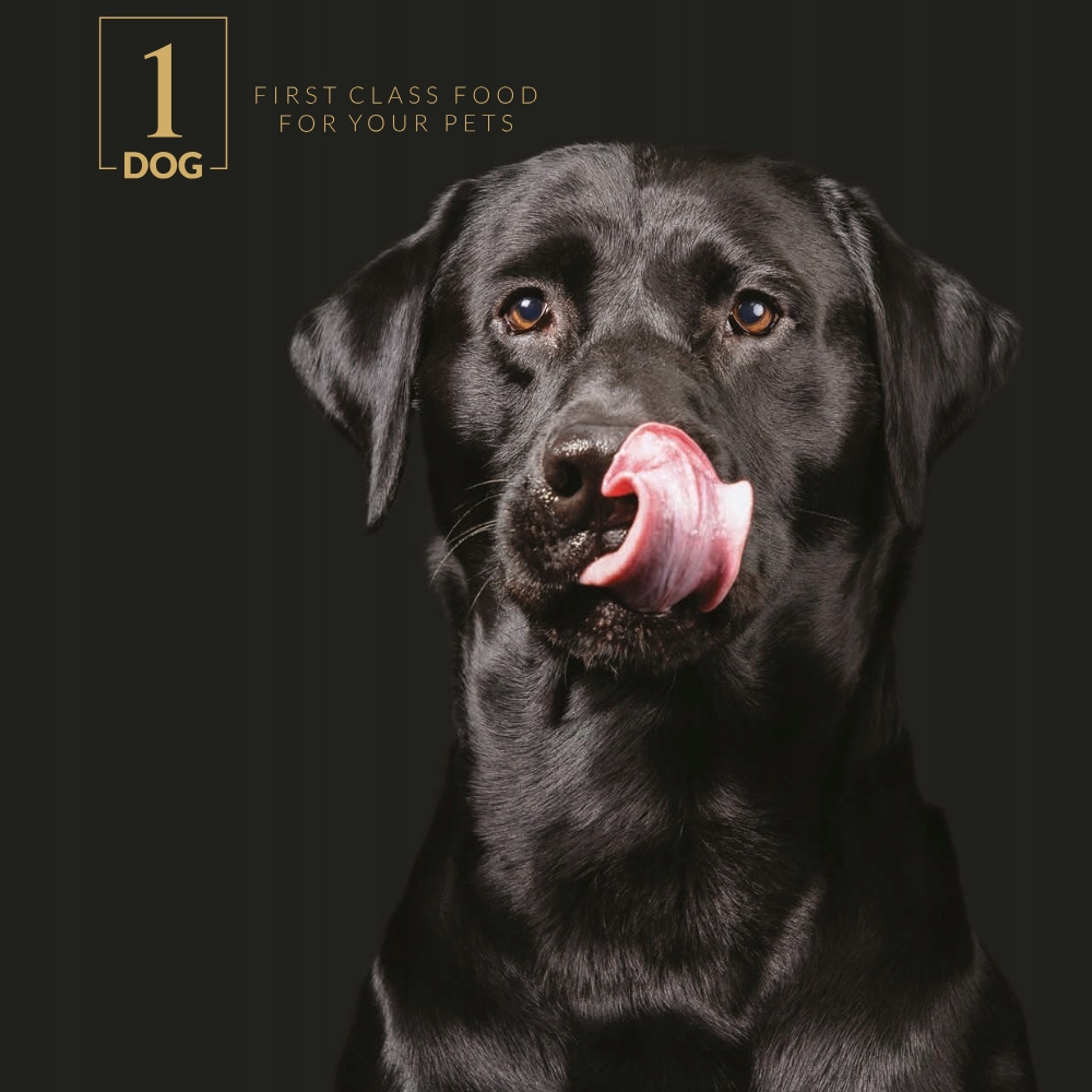 SUCHA KARMA DLA PSA Z RYBĄ ŚREDNIE I DUŻE RASY 2KG 1DOG MONOBIAŁKOWA Marka 1Dog