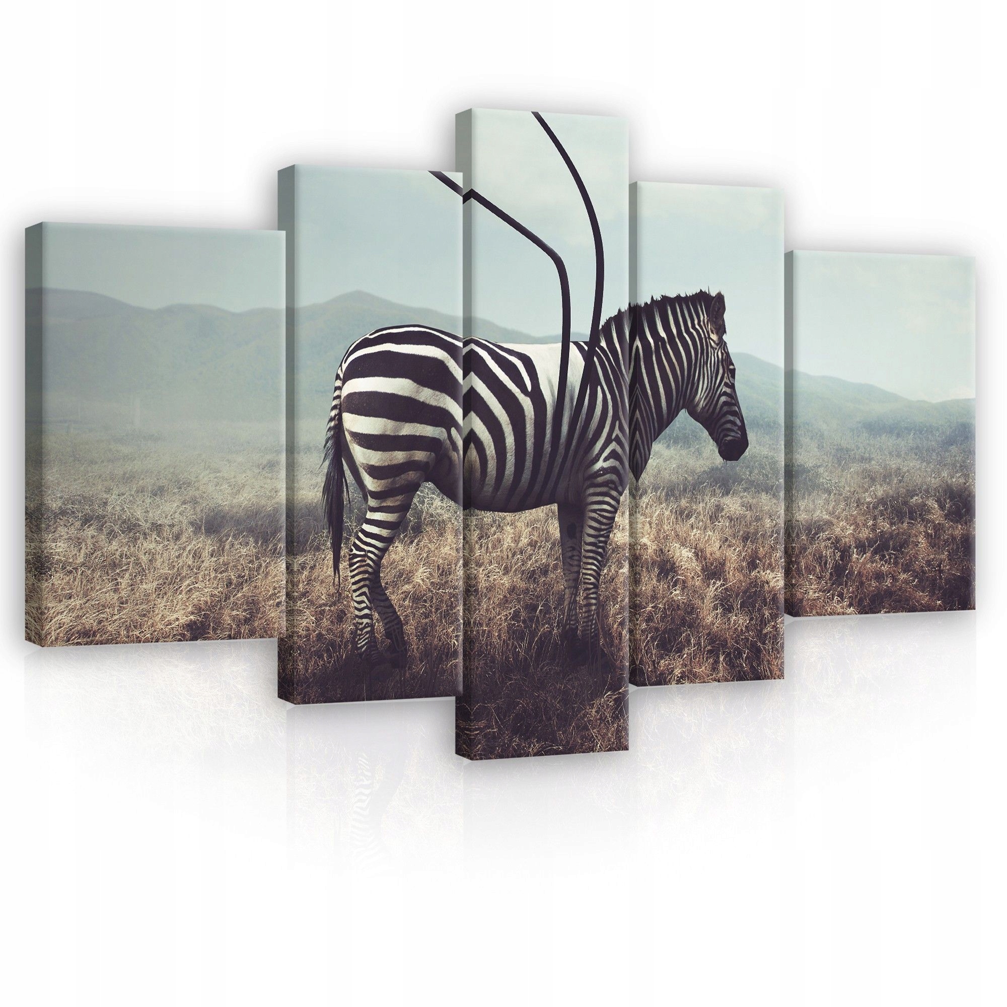Obraz 170x100 Zebra savana příroda osamělost abstrakce minimalismus