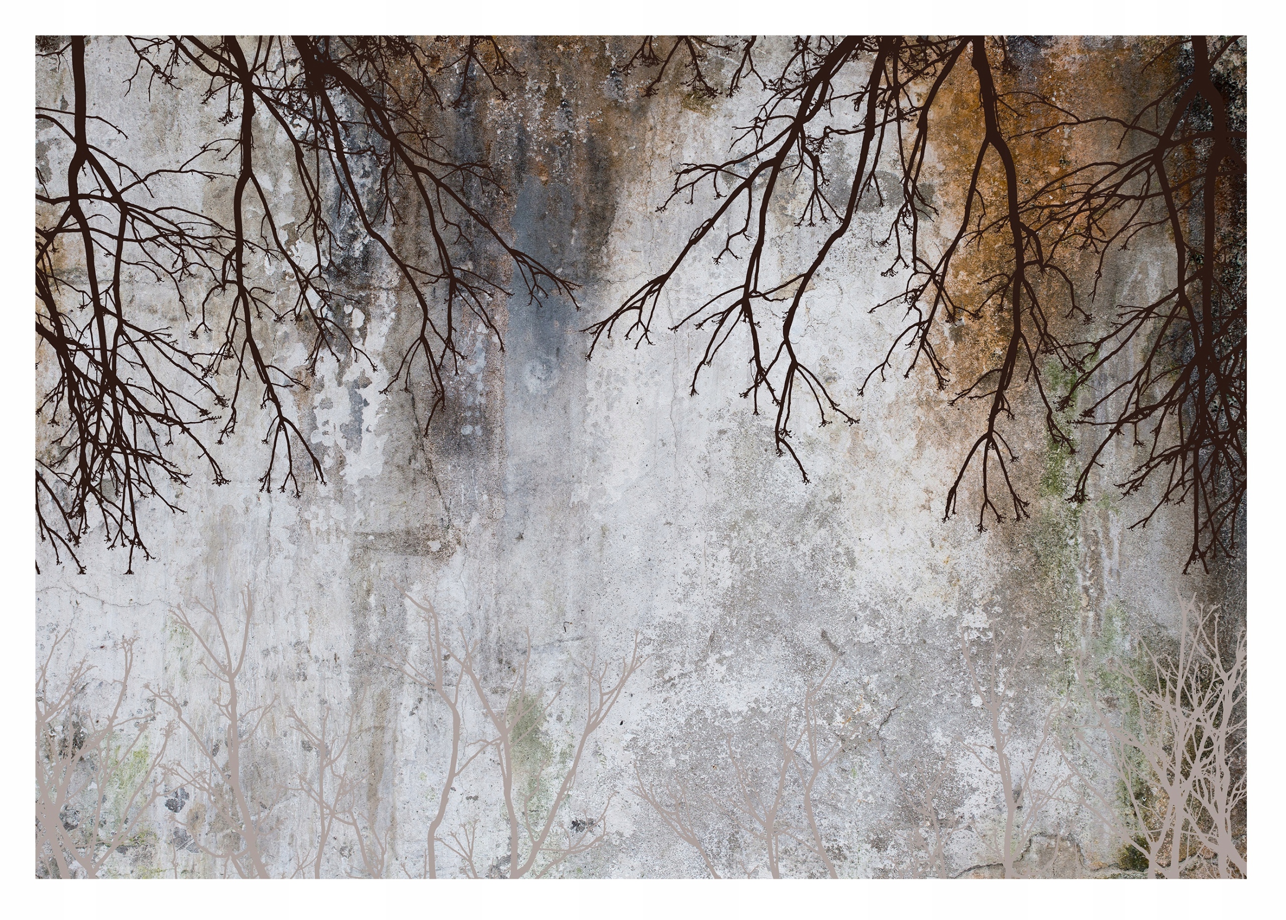 Fototapeta Větvičky Dřevo Béžová stěna 416x254