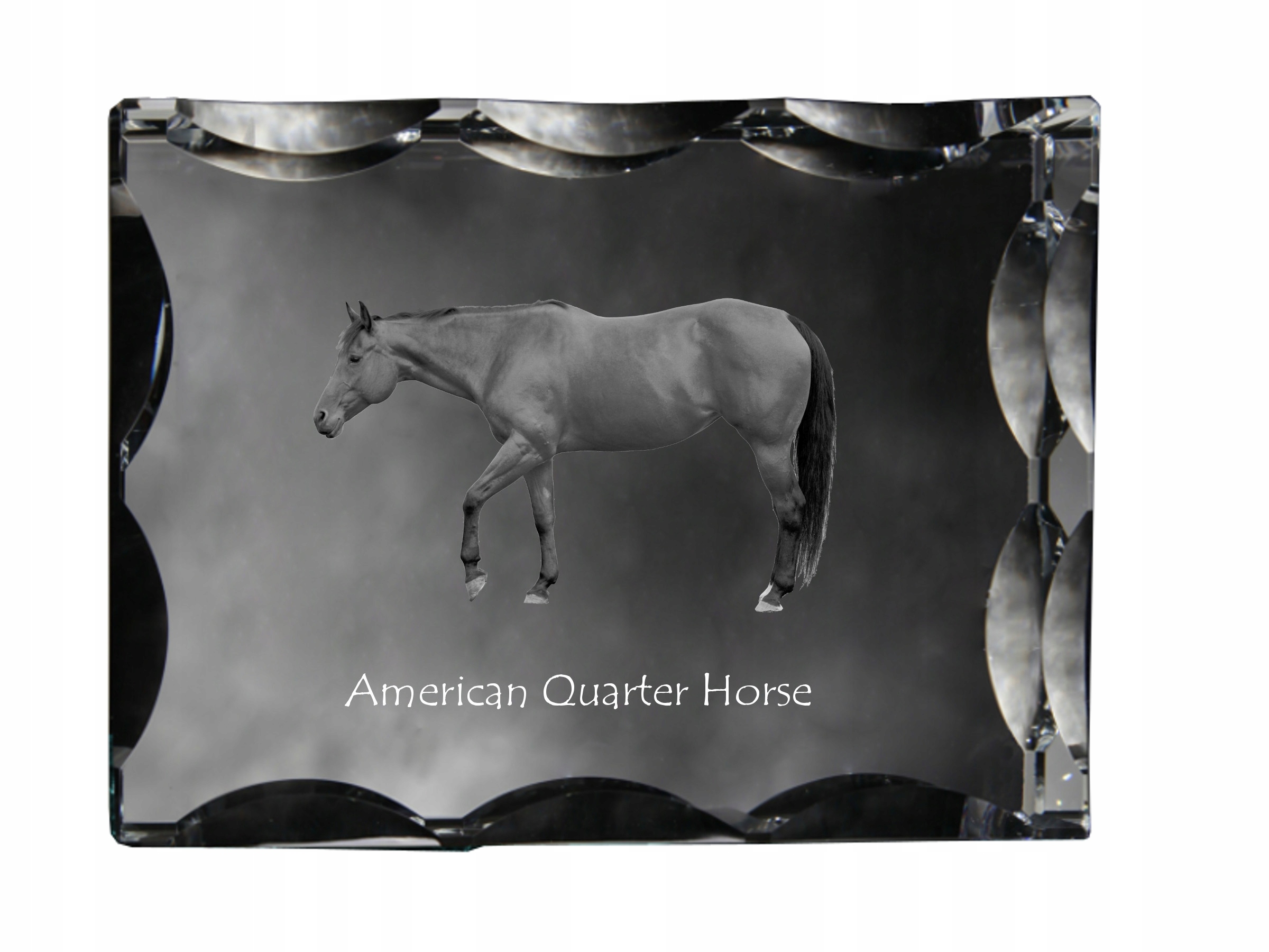 Kôň American Quarter fotografia v ozdobnom kryštáli, suvenír, dekorácia domu