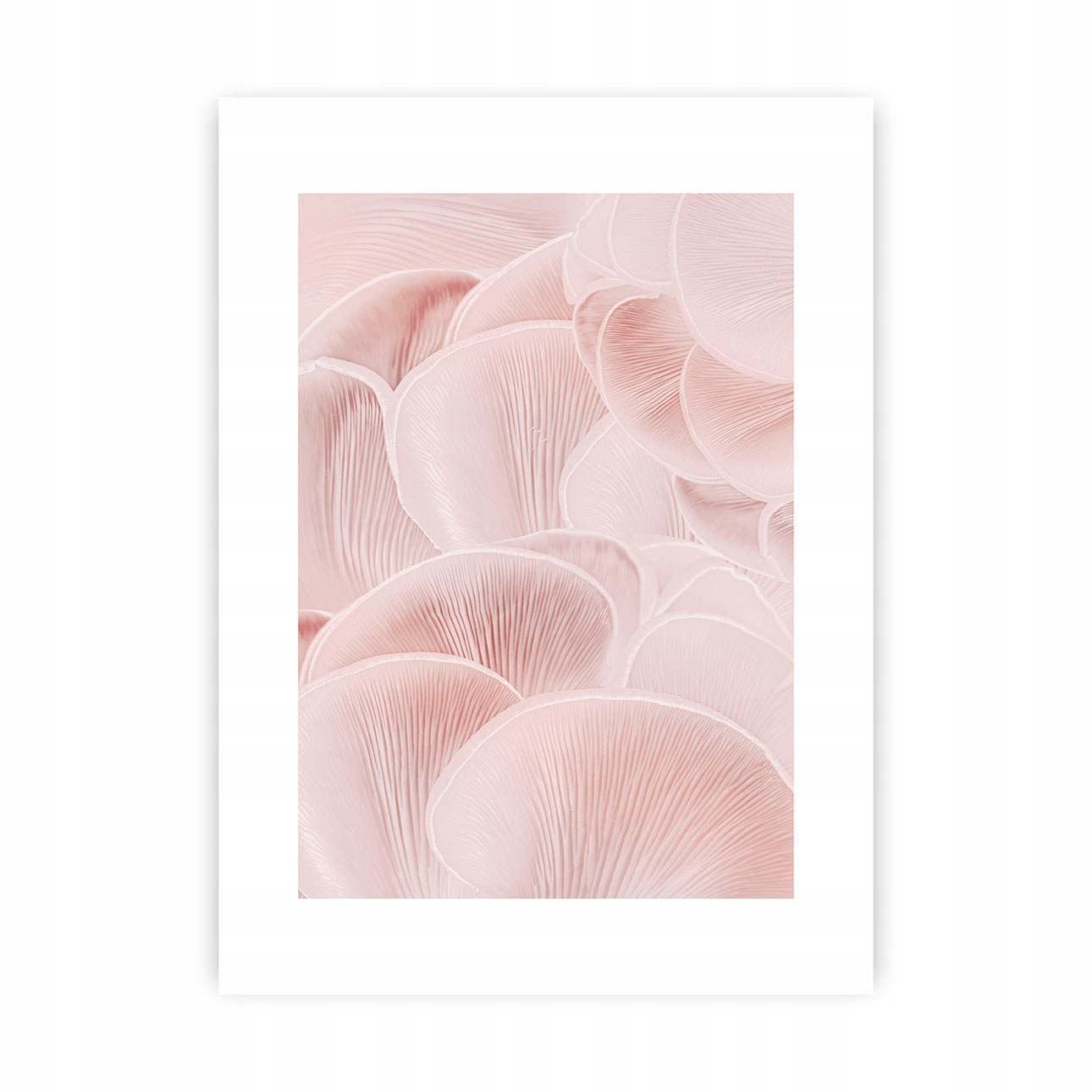 Dekoria Plagát Pastel Pink I