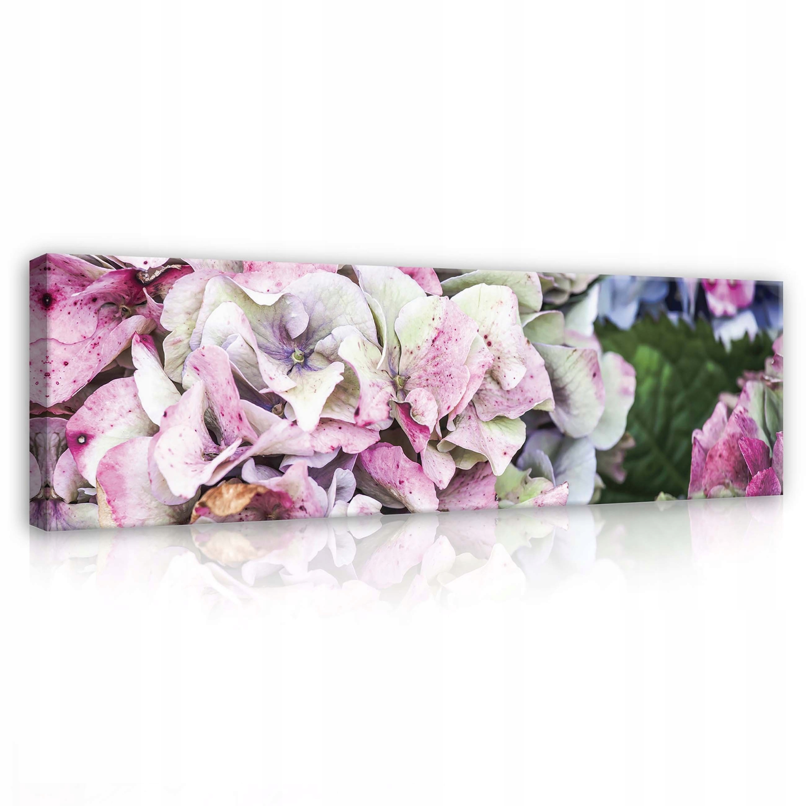 Obraz 145x45 Hortenzie pastelové květiny jemnost klid zátiší příroda