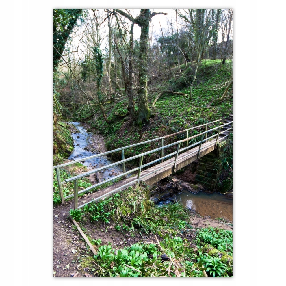 

Plakaty 62x93 Mostek w parku