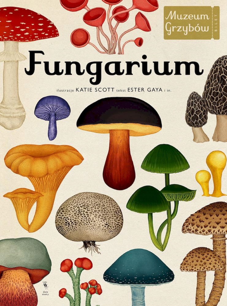Fungarium. Muzeum Grzybów-Zdjęcie-0