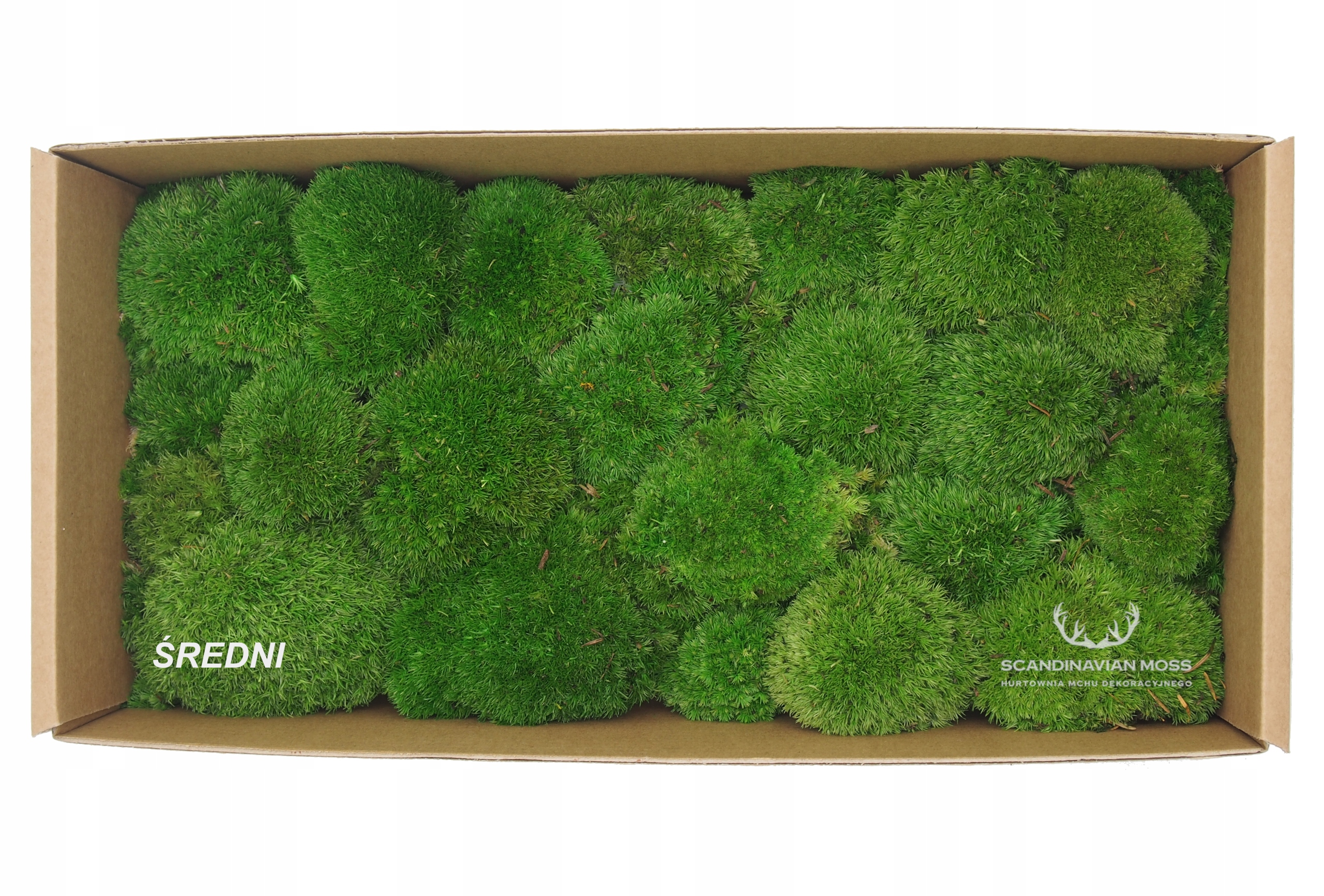 Mech Poduszkowy szwedzki 130g NETTO Marka inna