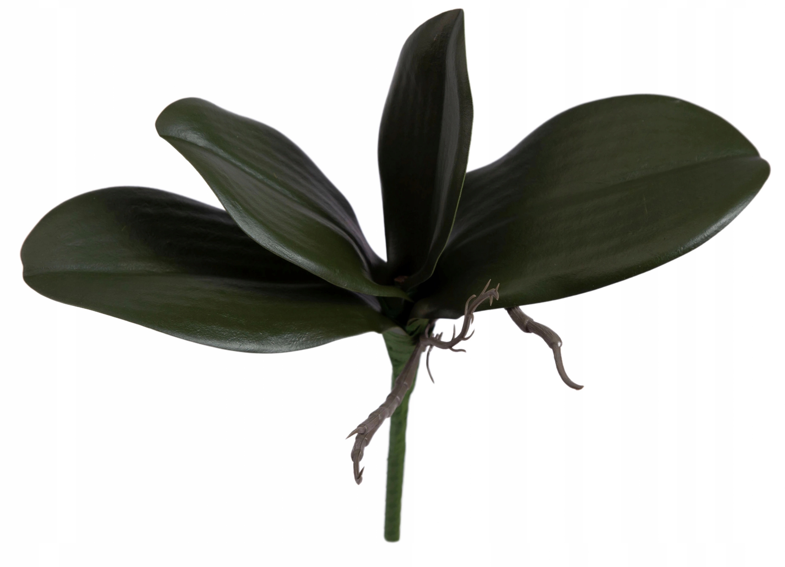 LIŚĆ STORCZYKA LIŚCIE SZTUCZNE