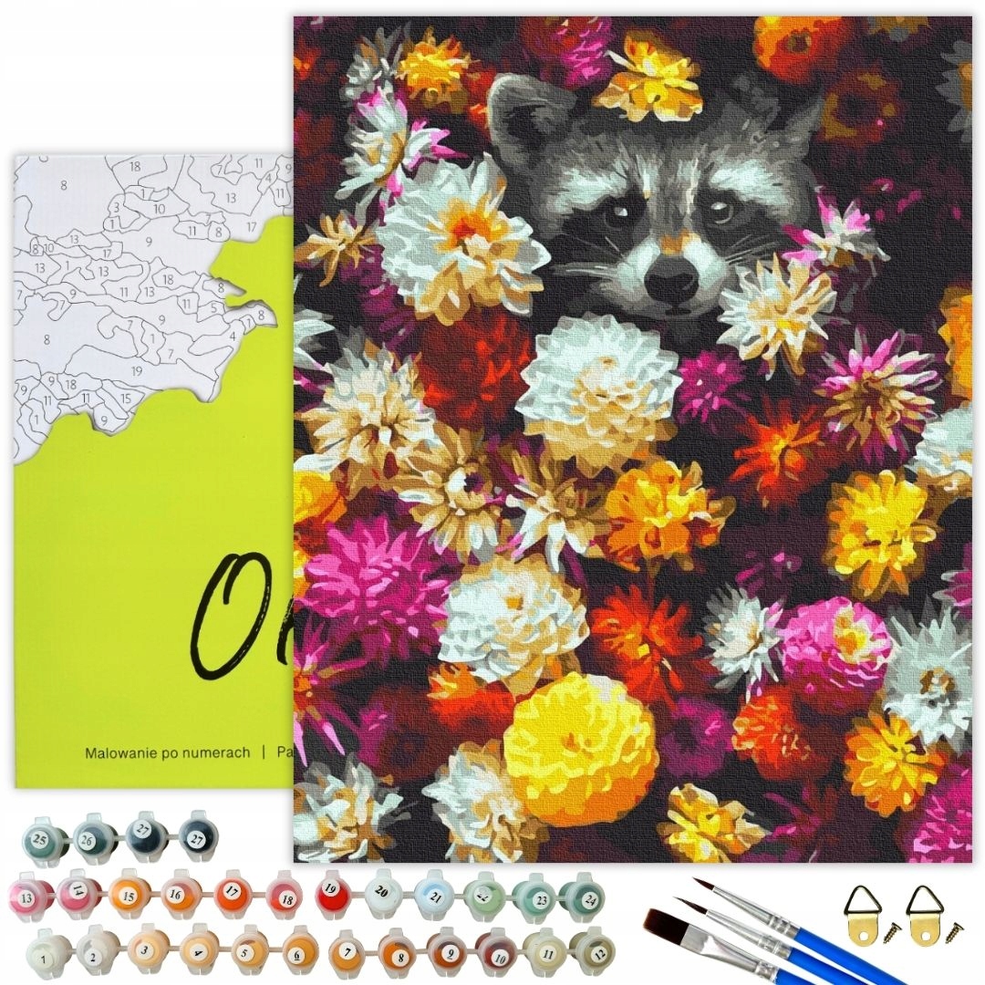 Malování Podle Čísel Mýval Obrázky Pro Malování podle čísel s rámem Oh Art