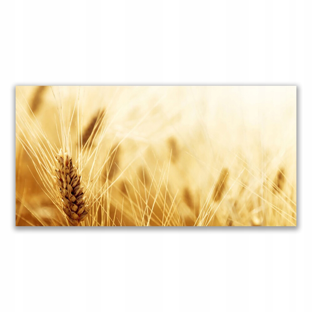 

Fotoobraz na ścianę 120x60 Pszenica Roślina Natura