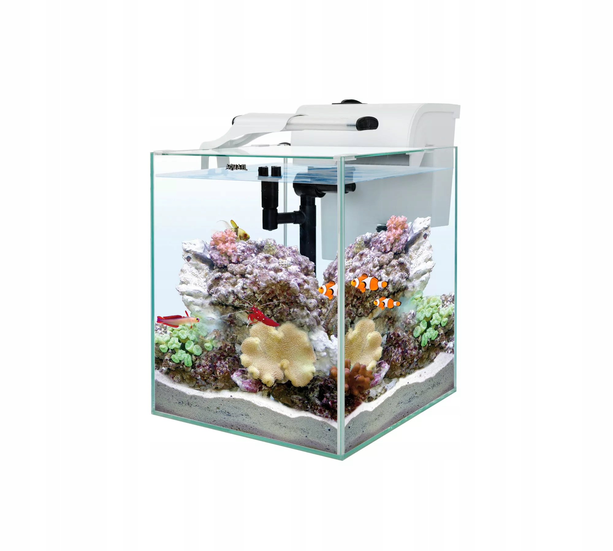 Aquael Nanoreef Duo 49L zestaw akwarium morskiego Led filtr Fzn Pro 1000