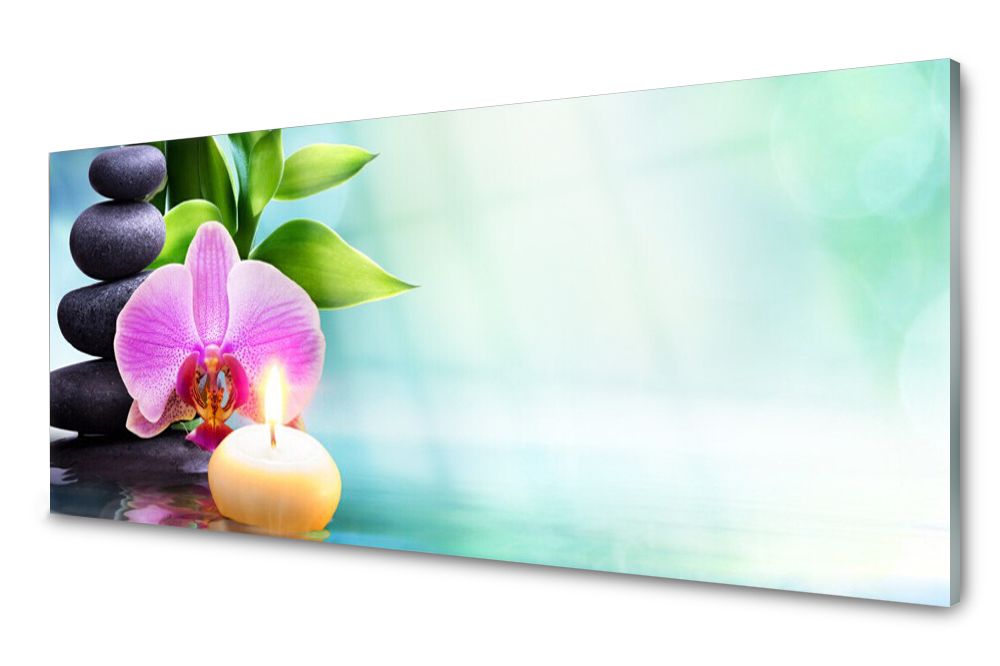 Sklenený panel do kuchyne Bambus Zen 125x50