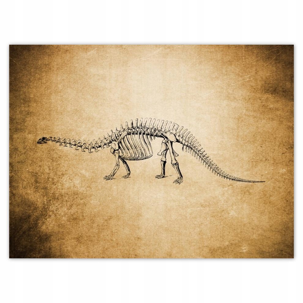

Plakat 40x30 Dinozaur Prehistoria Dino