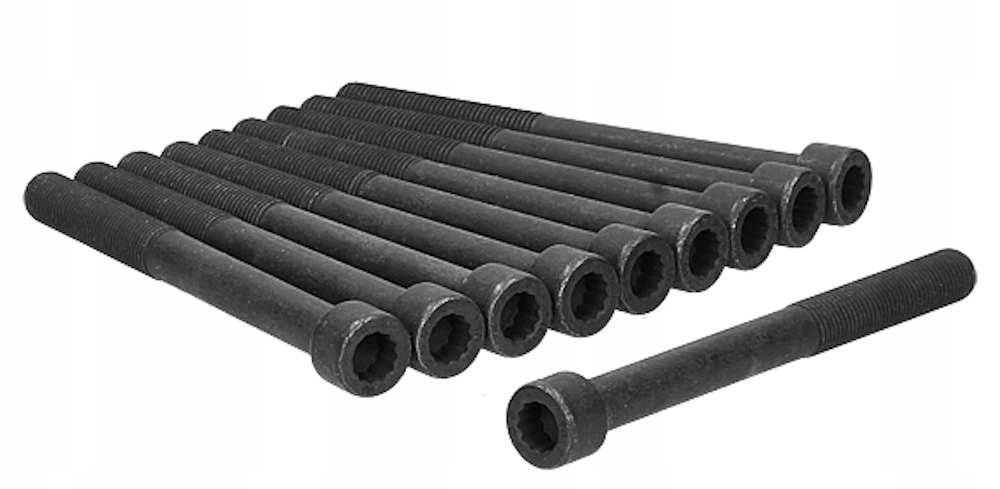 81013800 - Болти головки для OPEL FRONTERA A 92-