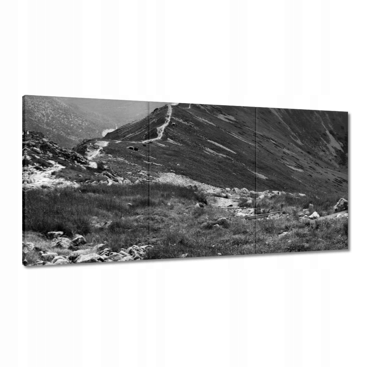 Obrazy 120x60 Tatry Polské hory Pohled