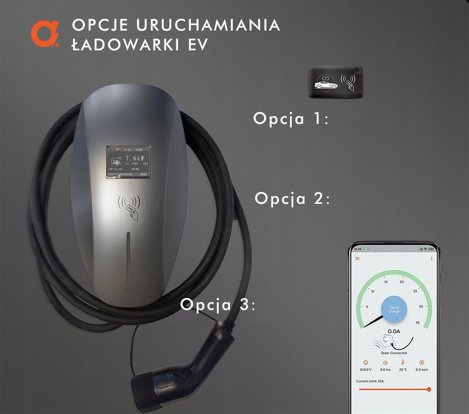 Ładowarka Samochodowa Wallbox Gray 11kW do Hybryd Plug in Ampere Point WiFi Przeznaczenie ładowanie samochodów