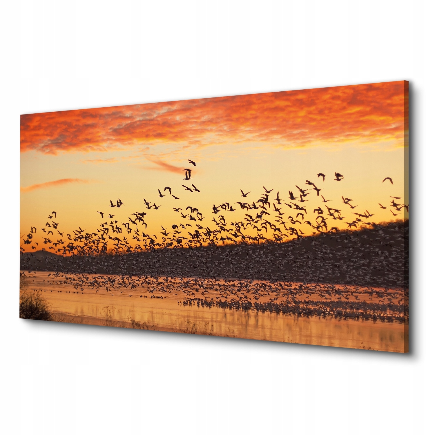 Canvas dekorace Ptáci jezero nebe 100x50