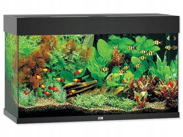 Levně Akvarijní set Juwelt Rio Led 125 černé 81x36x50cm 125l