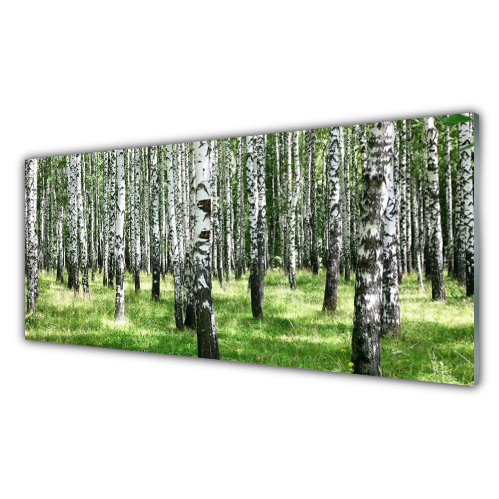 

Obraz nowoczesny 125x50 Las Trawa Roślina Natura