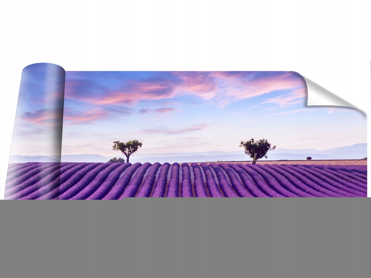 

Fototapeta Samoprzylepna Pole lawendy 250x104