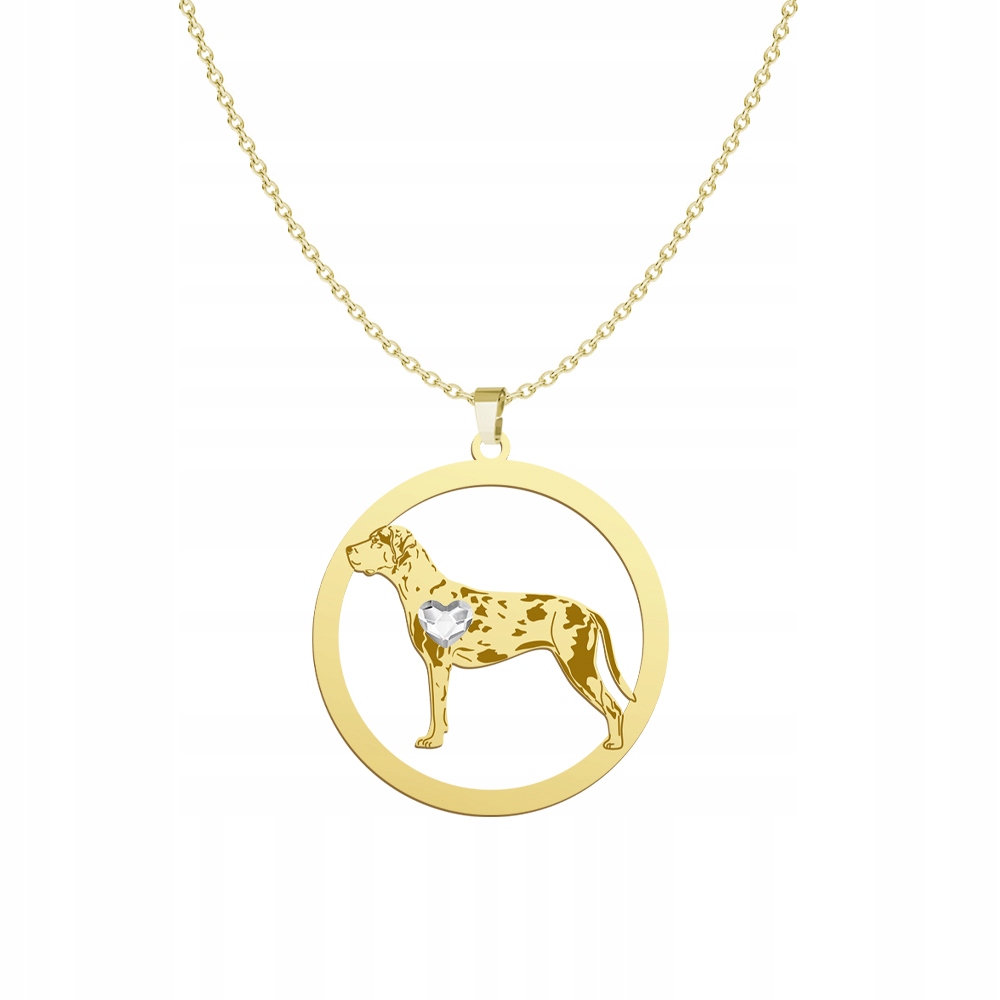 Zlatý náhrdelník s psem Louisianem Catahoulou 925 Šperky Žena Gravírování