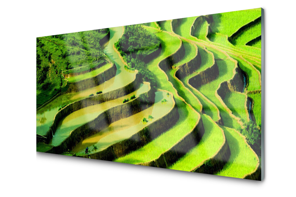 Sklenený panel Doska Pole Ryža Príroda 120x60