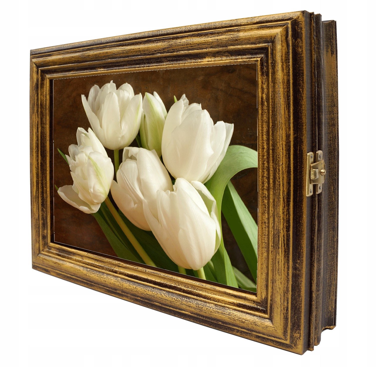 schránka na klíče F 27 Pln pozlacená zázrak!!!