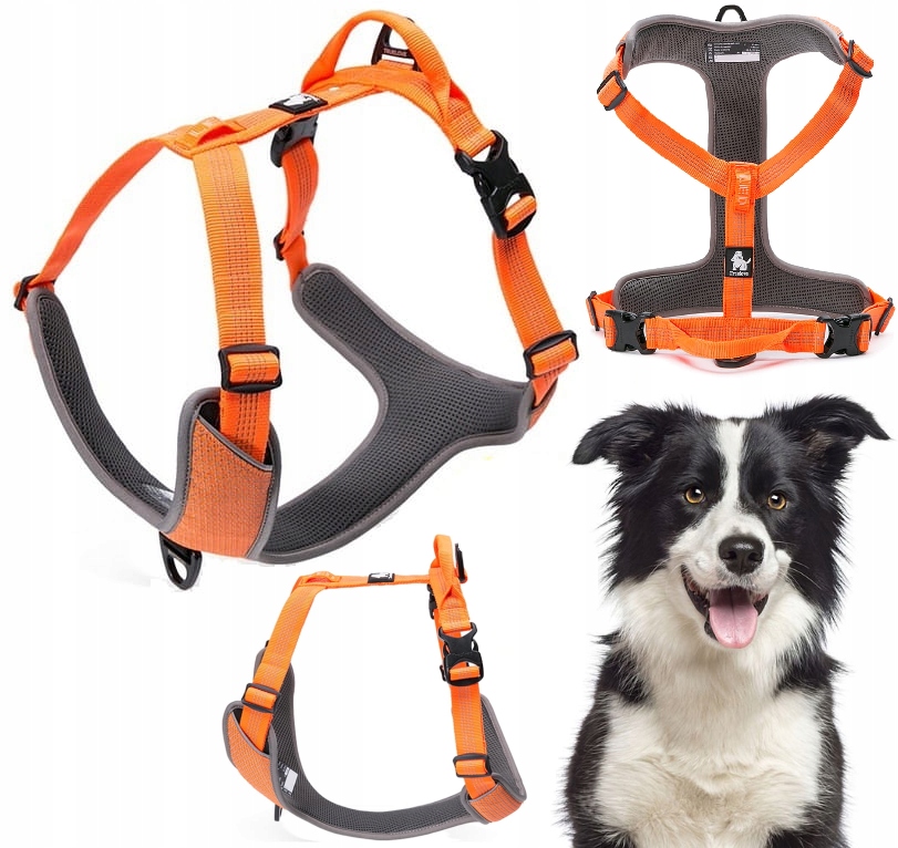 Szelki Dla Psa Odblaskowe Guard Easy Walk Truelove Lumen Pomarańczowe M