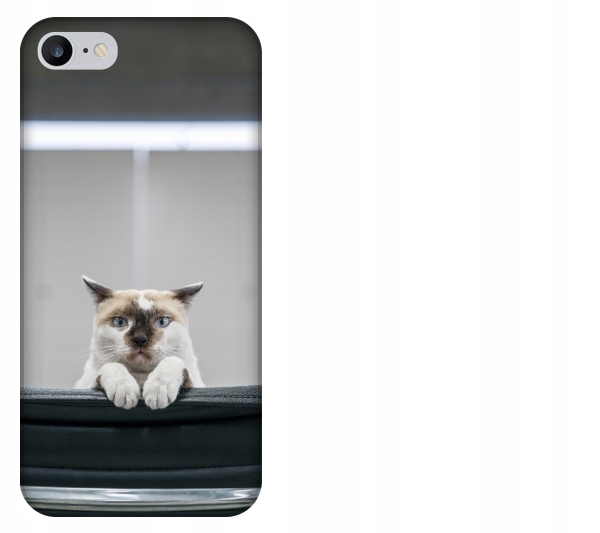 

Etui pokrowiec iPhone 7 Kot kotek smieszne zwierze