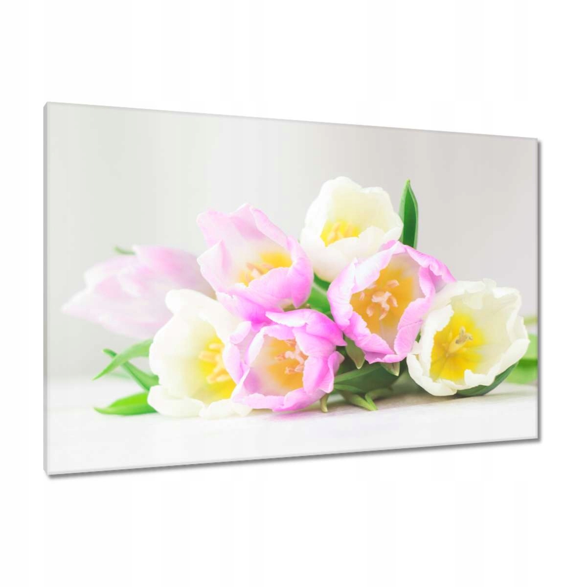Obrazy 120x80 Jemné tulipány
