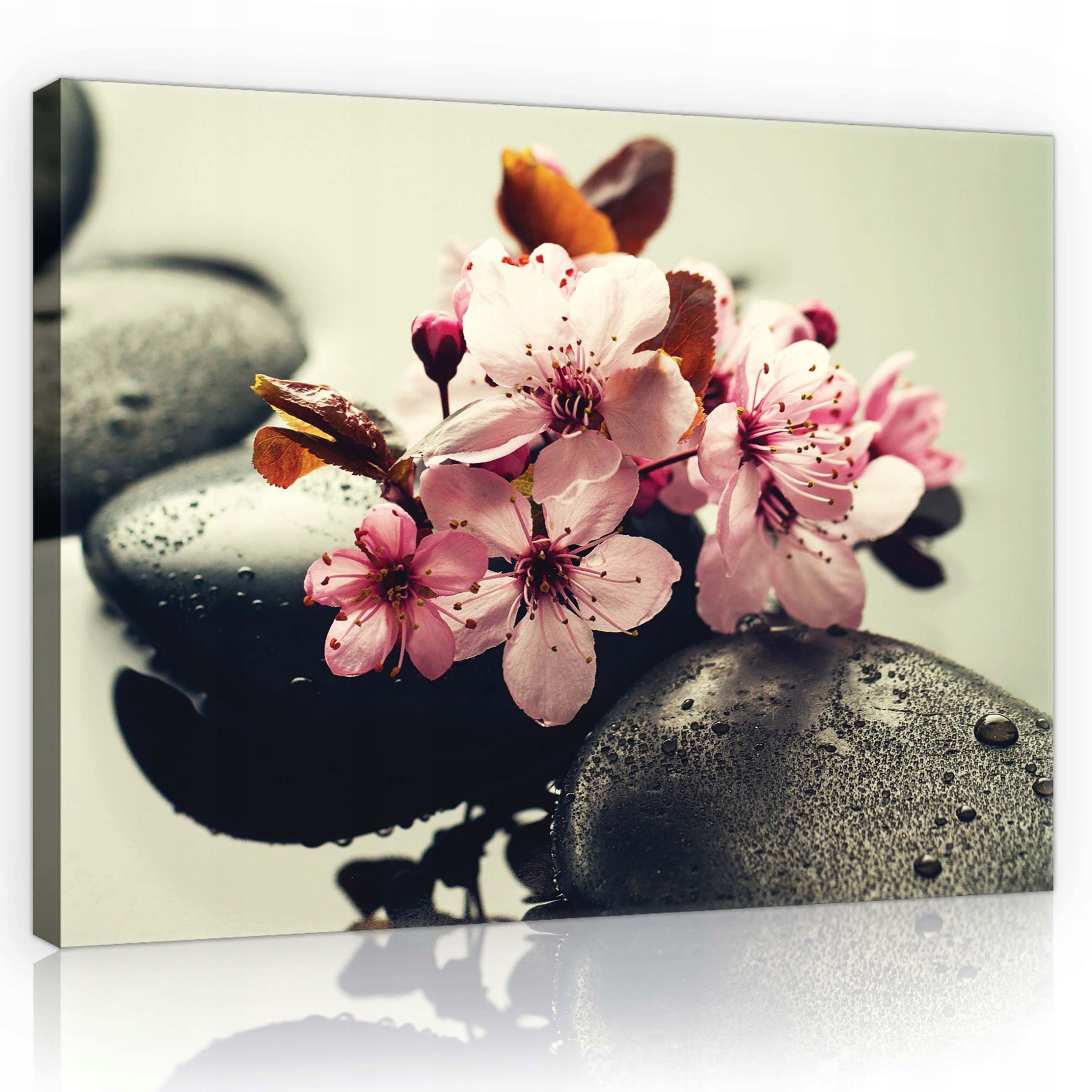 Obraz 100x75 Květiny sakury lázeňské kameny kapky vody klid harmonie